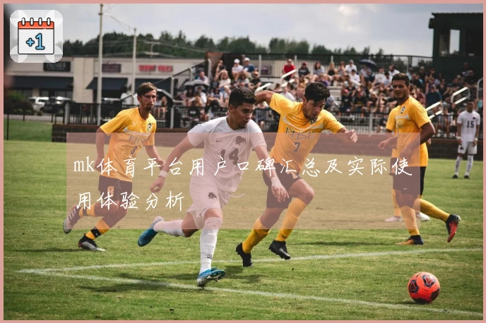 mk体育平台用户口碑汇总及实际使用体验分析
