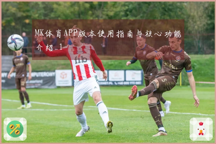 MK体育APP版本使用指南与核心功能介绍_1